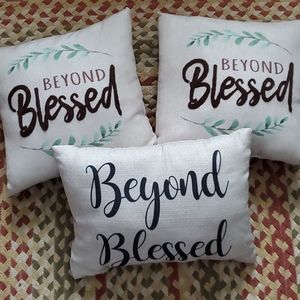 Lot of 3 throw pillows